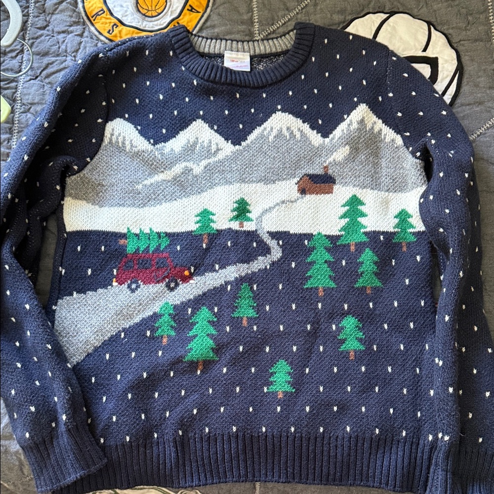 Hanna Andersson Navy Sweater with Winter Scene

Christmas Holiday Sweater